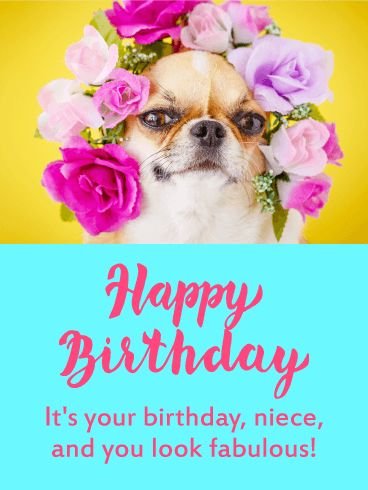 Funny Birthday Wishes for Niece
